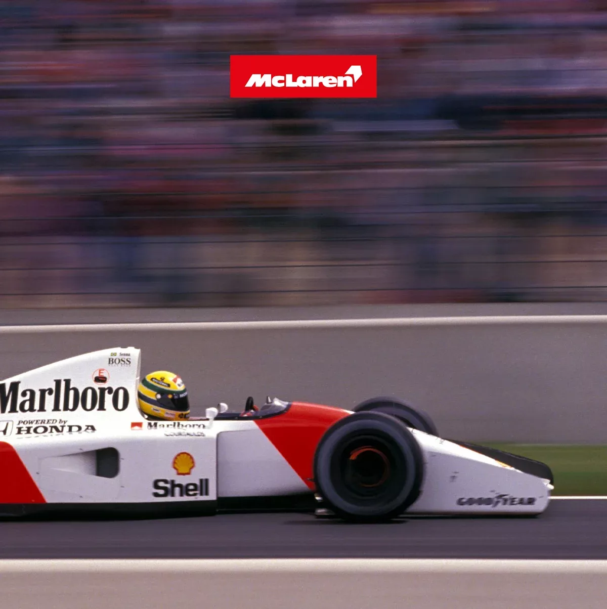 Marque 1991 V5