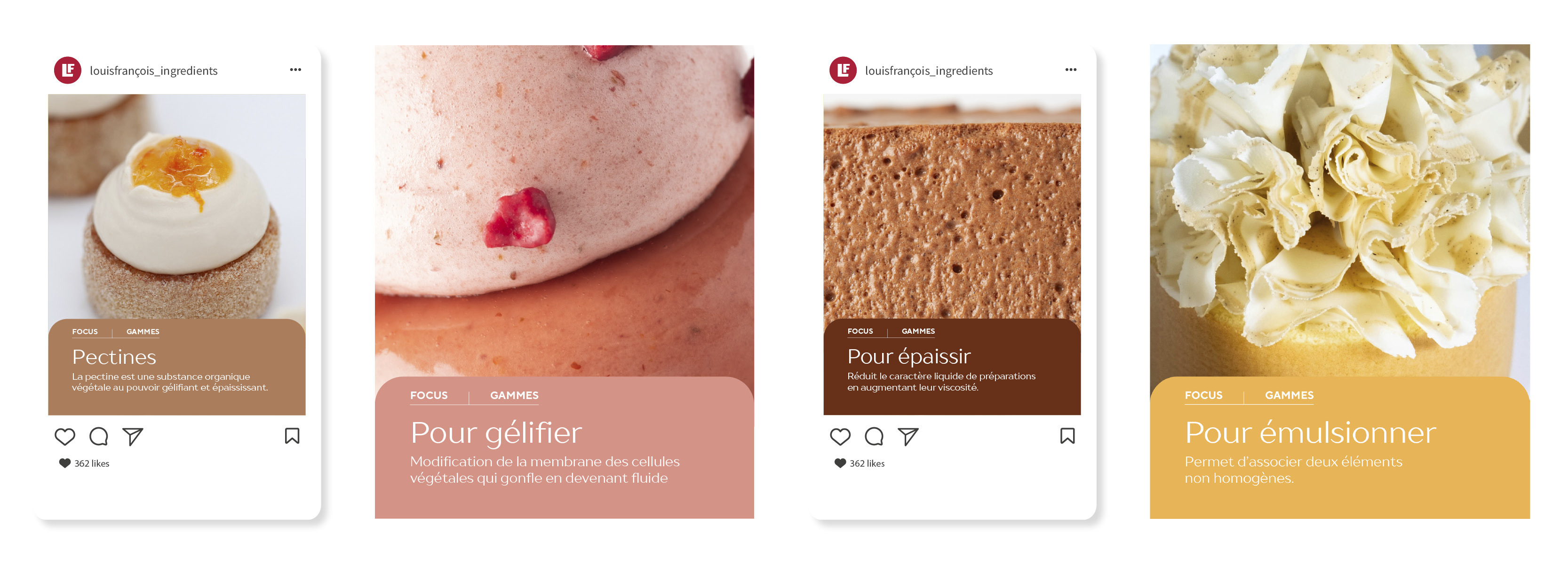 LOUISFRANÇ OIS Catalogue Structure7