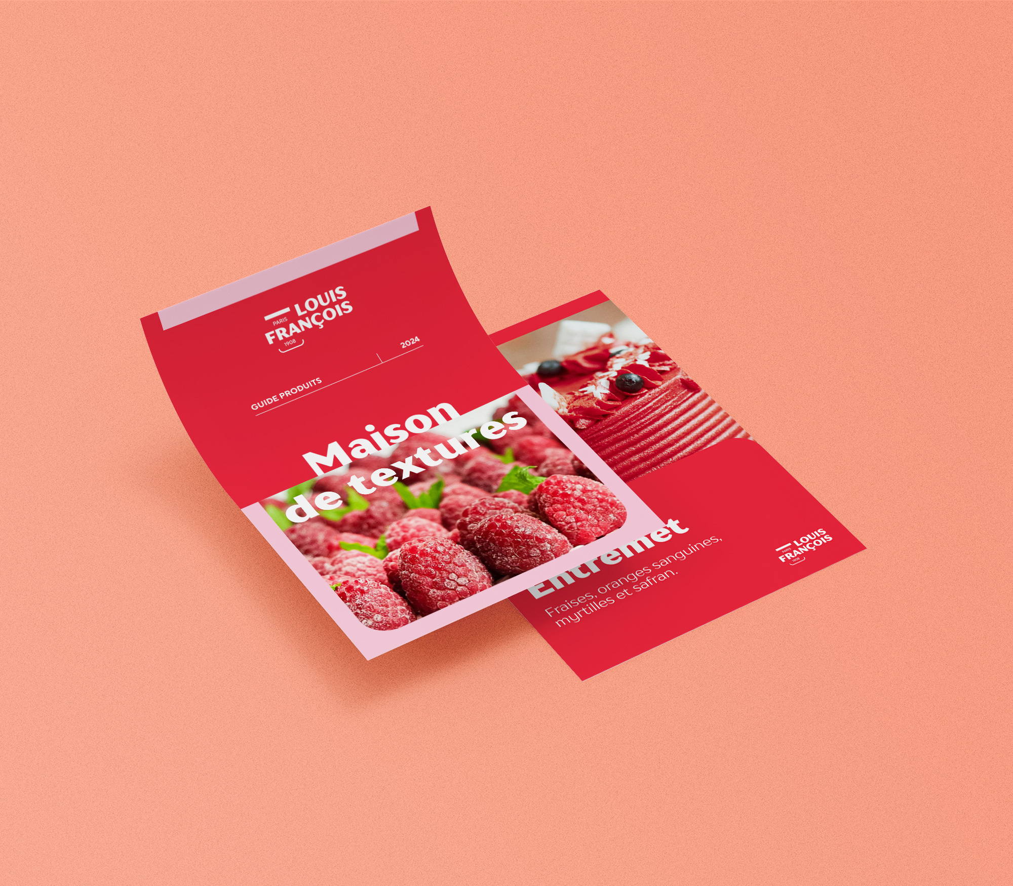 LOUISFRANCOIS Poster Mockup 4