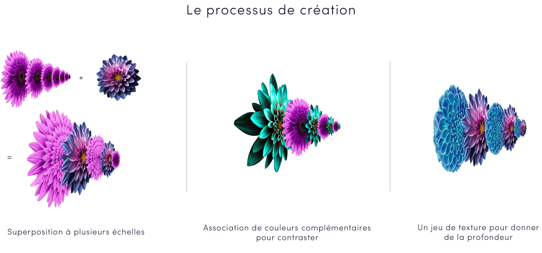 Pyro Details Fleurs 5