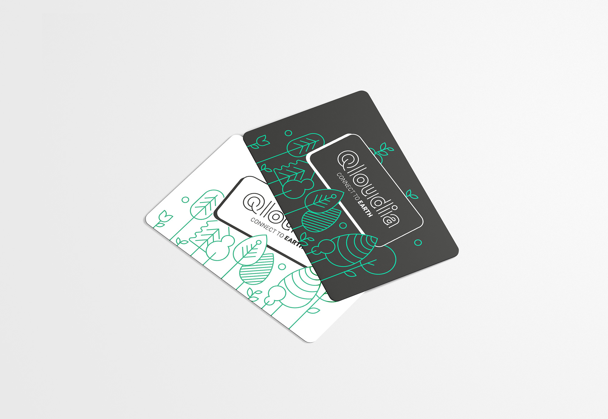 Qloudia Cards 2