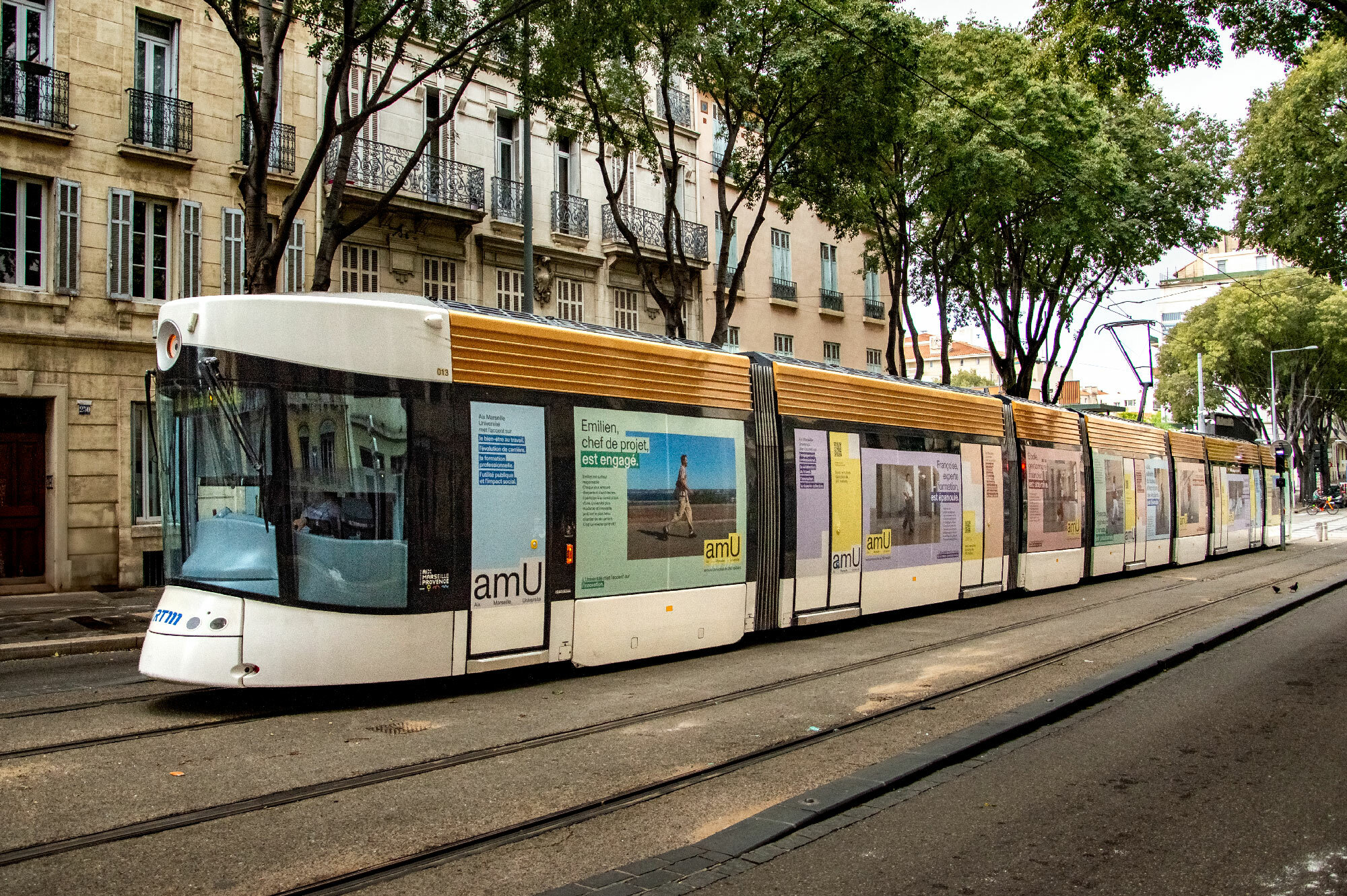 Université de Marseille MARSEILLE Tramway 16 Baies 14 portes Septembre 419762 6